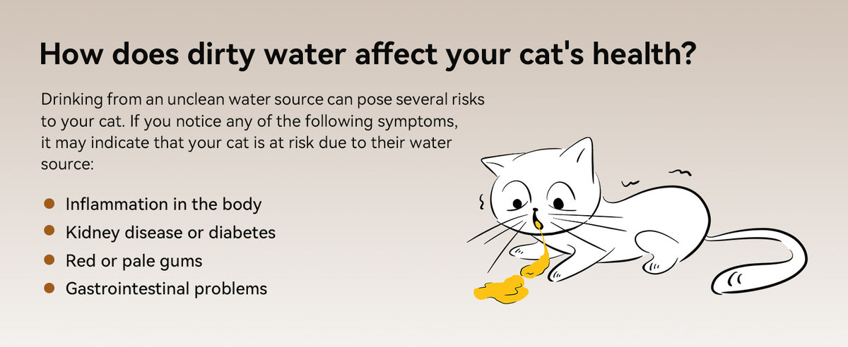 Sippaws Wireless Cat Water Fountain — 2L, Stainless Top